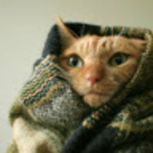 Meet your Posher, Madeline